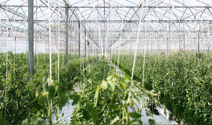 Agrochemical-Industry
